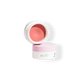 Eclo Róż - 002 Rose Aurore / Różana Zorza 10 g